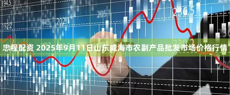 忠程配资 2025年9月11日山东威海市农副产品批发市场价格行情