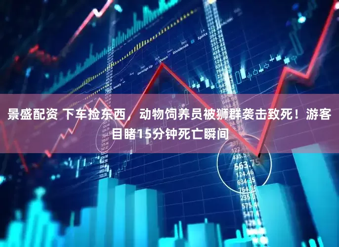 景盛配资 下车捡东西，动物饲养员被狮群袭击致死！游客目睹15分钟死亡瞬间
