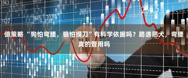 億策略 “狗怕弯腰，狼怕摸刀”有科学依据吗？路遇恶犬，弯腰真的管用吗